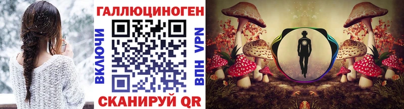 Псилоцибиновые грибы Psilocybe Балаково