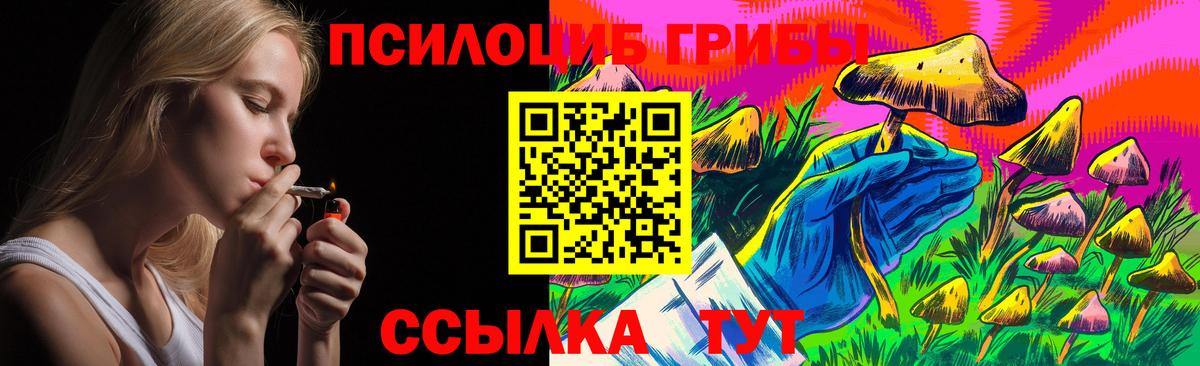 Галлюциногенные грибы MAGIC MUSHROOMS  Вход с VPN  Балаково 